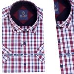 Chemise pour Homme en Coton Demi Manche CH-017