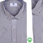 Chemise Rayée à Manches Courtes FY14